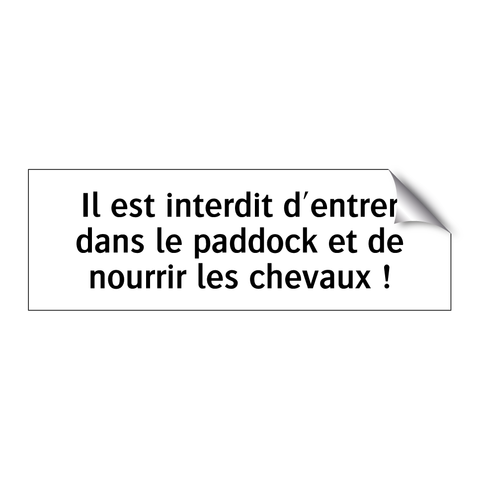 Il est interdit d'entrer dans le paddock et de nourrir les chevaux !