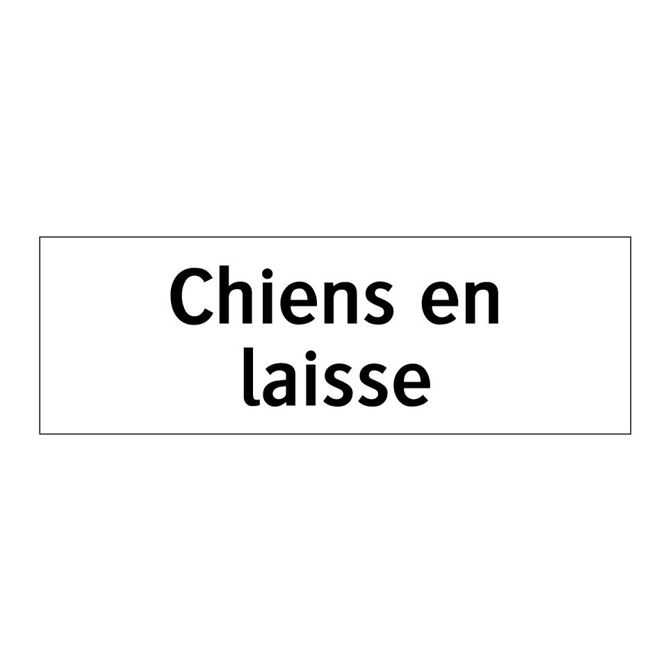 Chiens en laisse