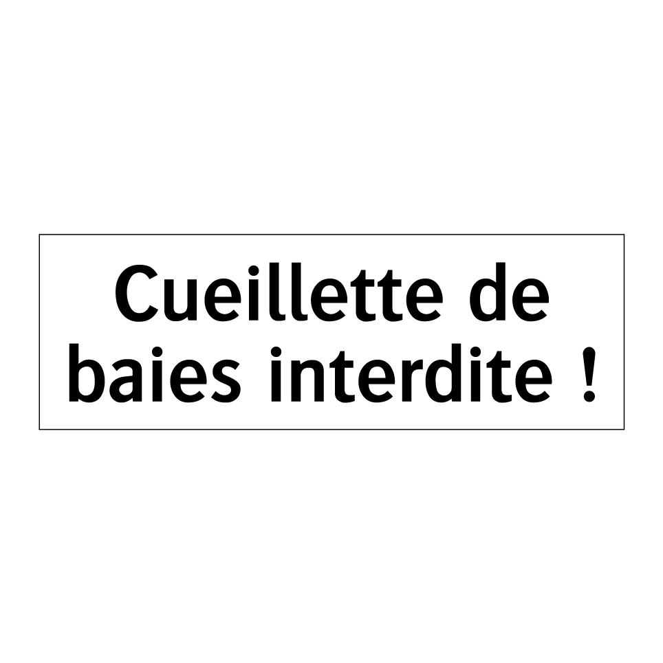 Cueillette de baies interdite !