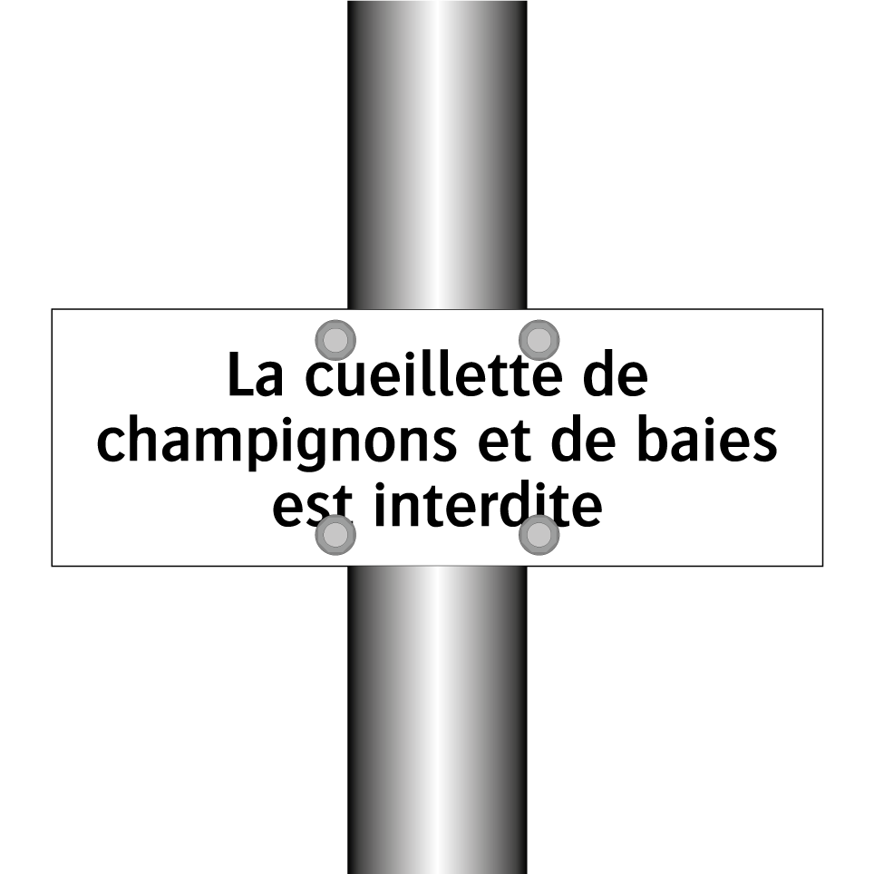 La cueillette de champignons et de baies est interdite