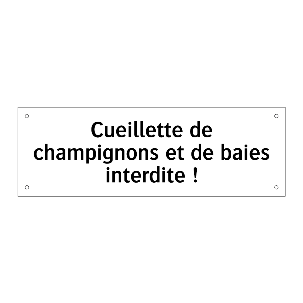 Cueillette de champignons et de baies interdite !