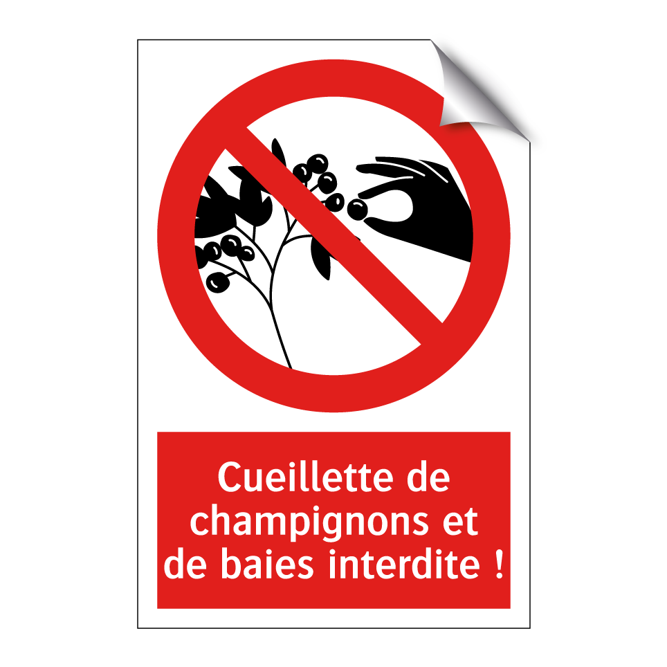 Cueillette de champignons et de baies interdite !