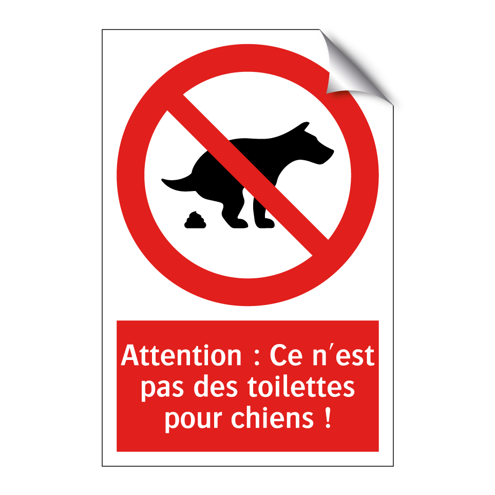 Attention : Ce n'est pas des toilettes pour chiens !