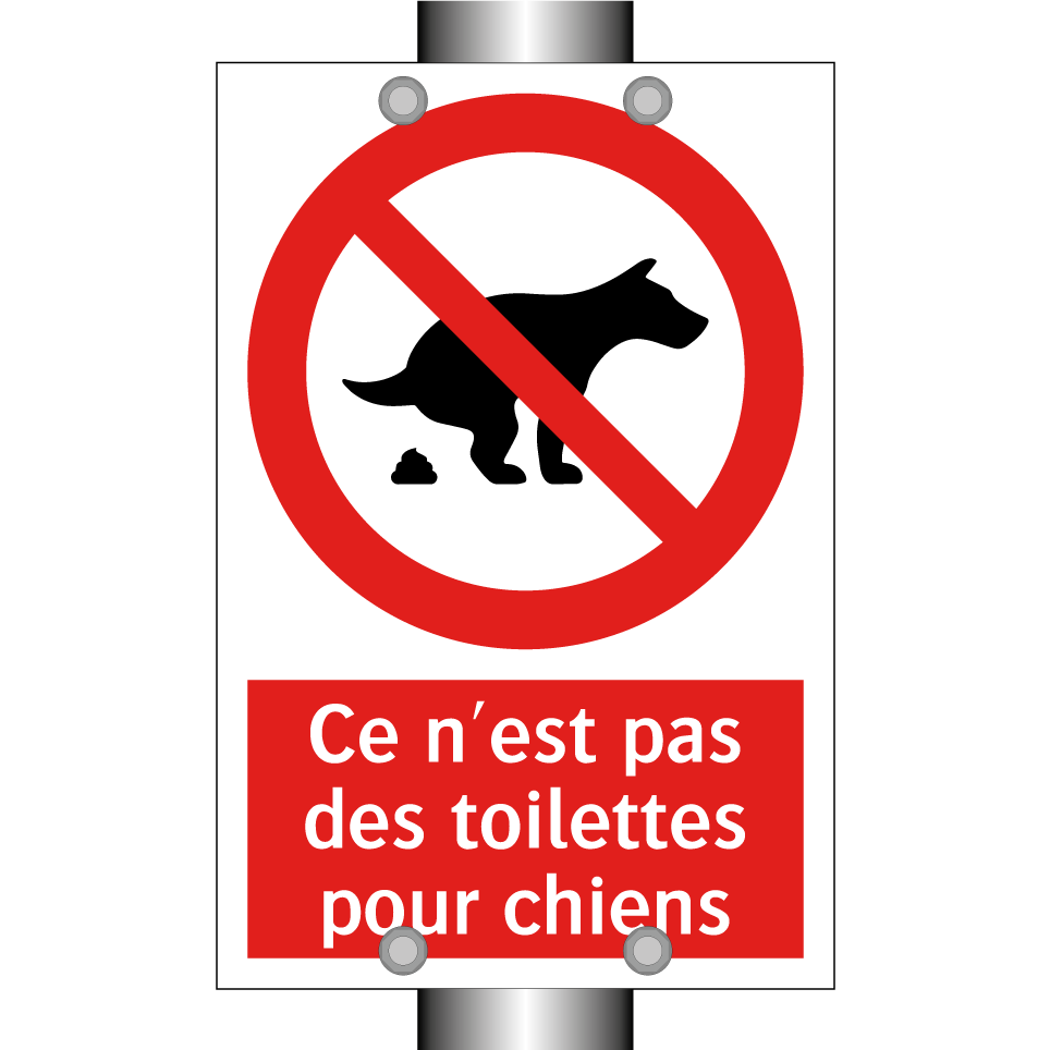 Ce n'est pas des toilettes pour chiens