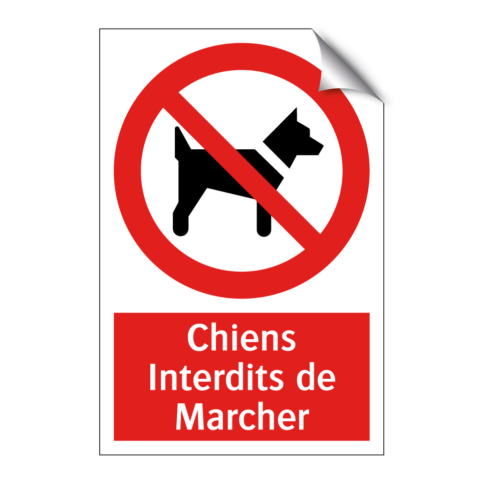 Chiens Interdits de Marcher