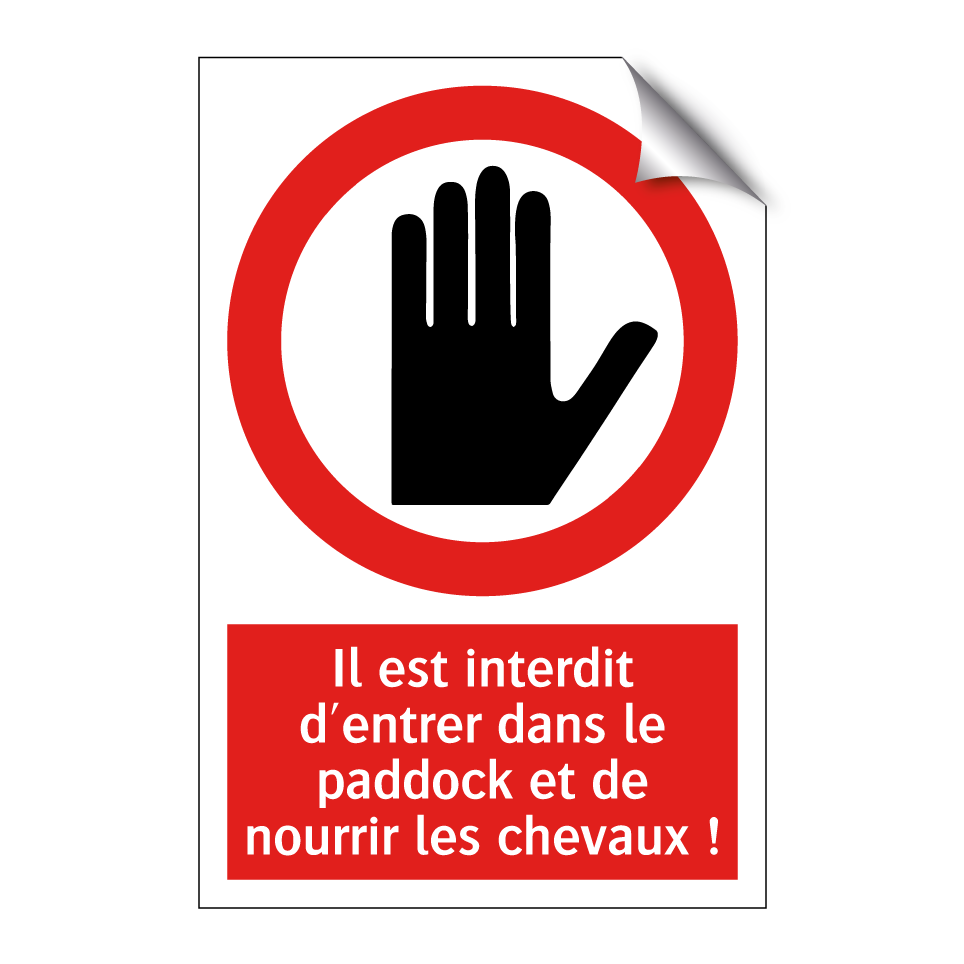 Il est interdit d'entrer dans le paddock et de nourrir les chevaux !