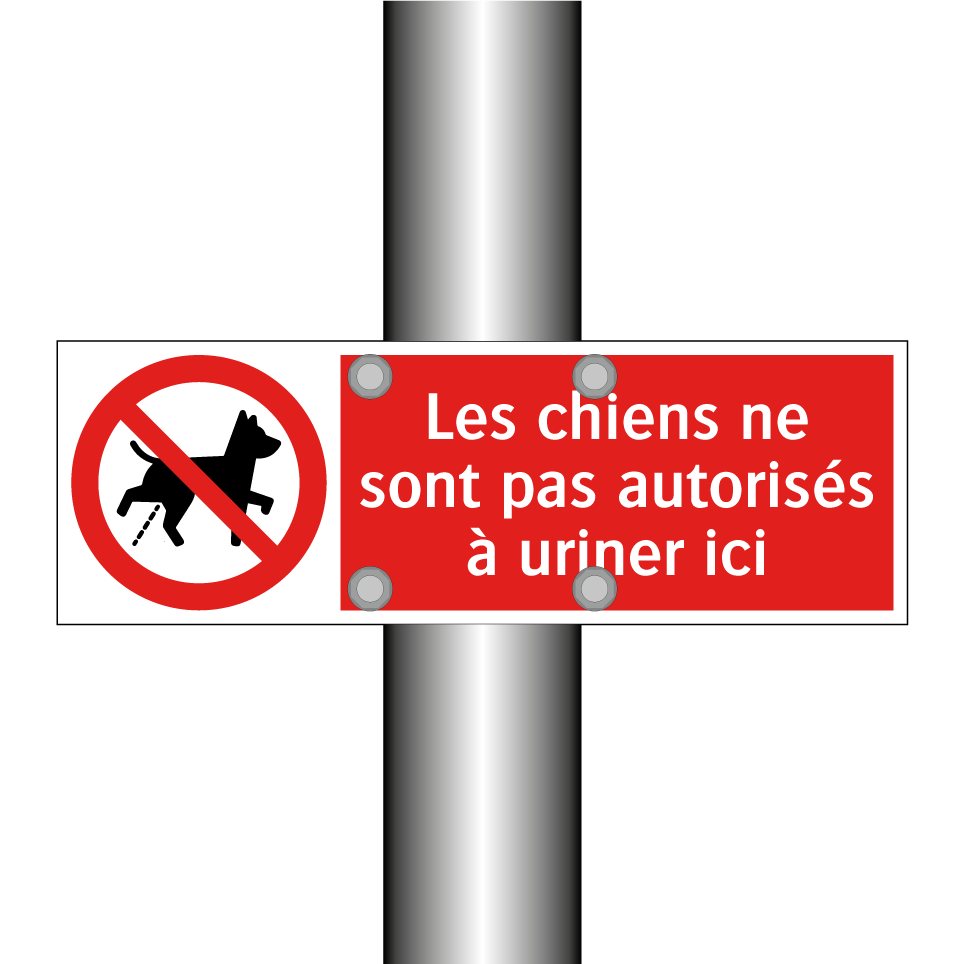 Les chiens ne sont pas autorisés à uriner ici