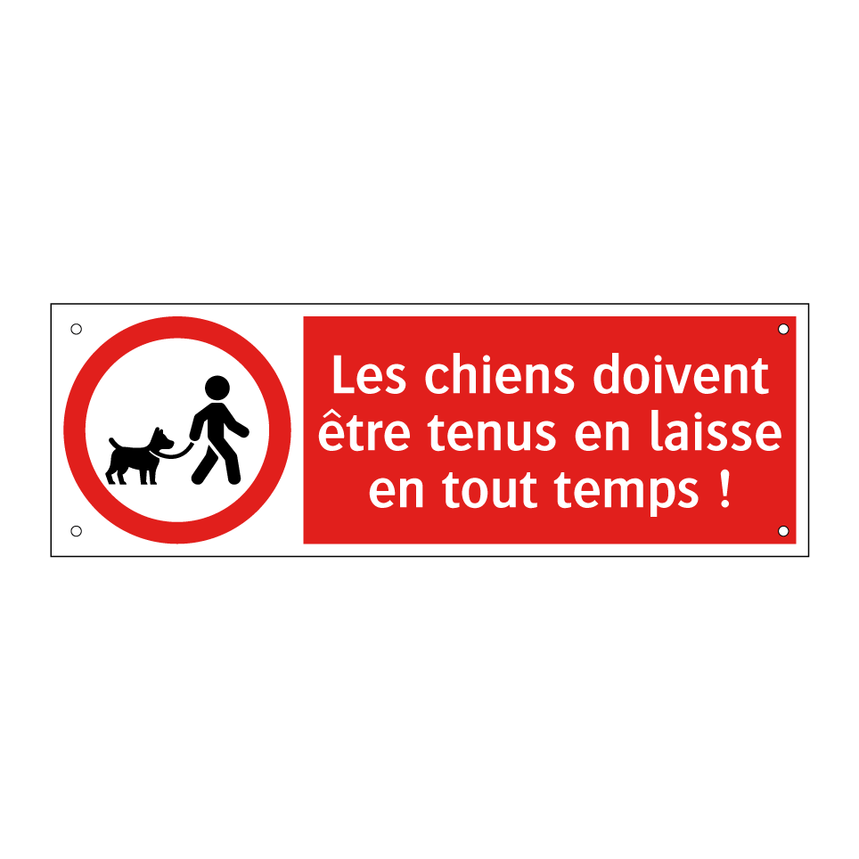 Les chiens doivent être tenus en laisse en tout temps !