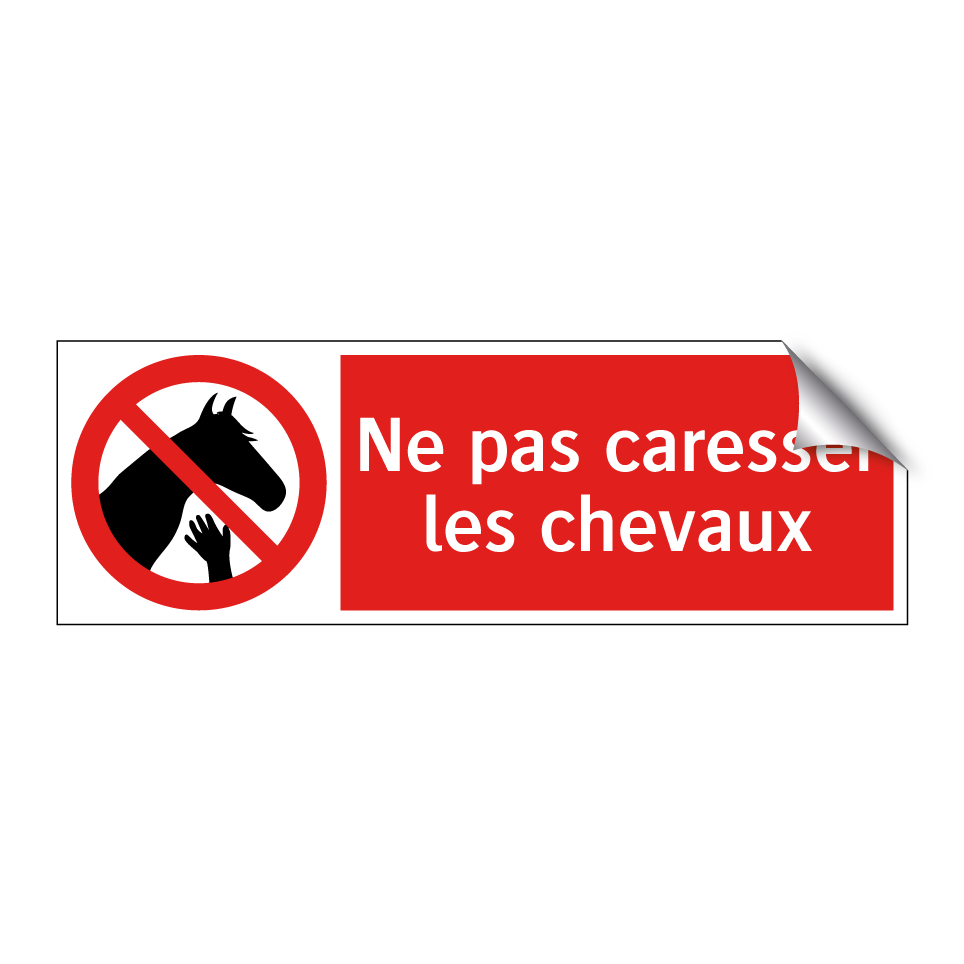 Ne pas caresser les chevaux