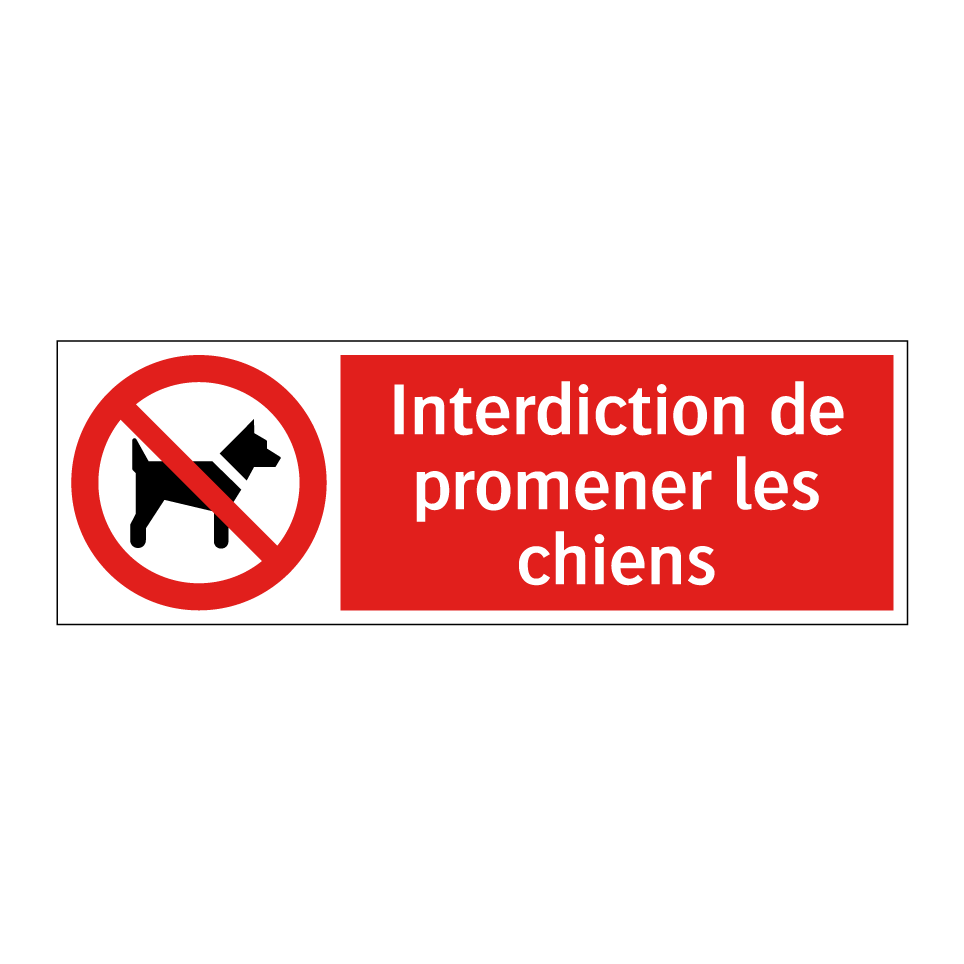Interdiction de promener les chiens