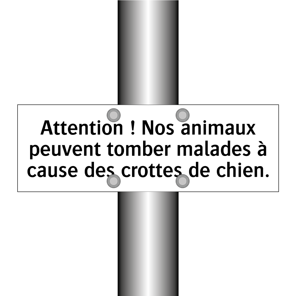 Attention ! Nos animaux peuvent tomber malades à cause des crottes de chien.