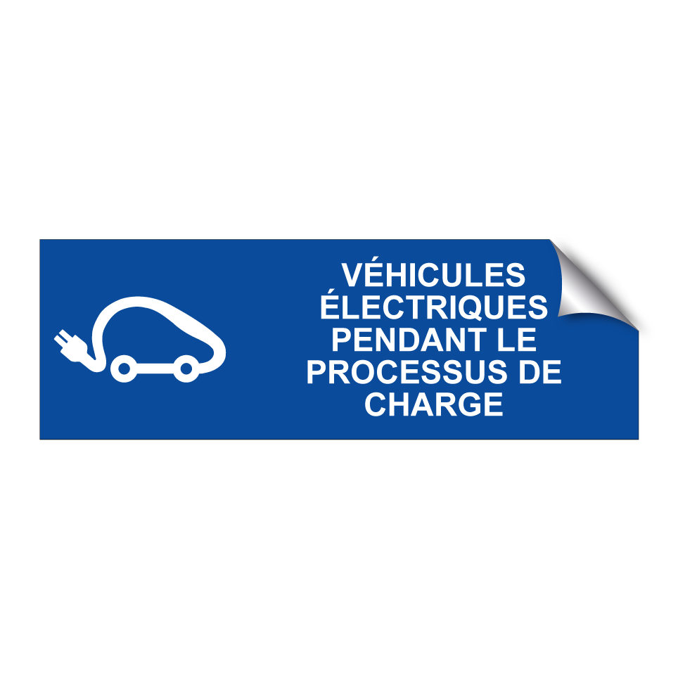 Véhicules électriques pendant le processus de charge