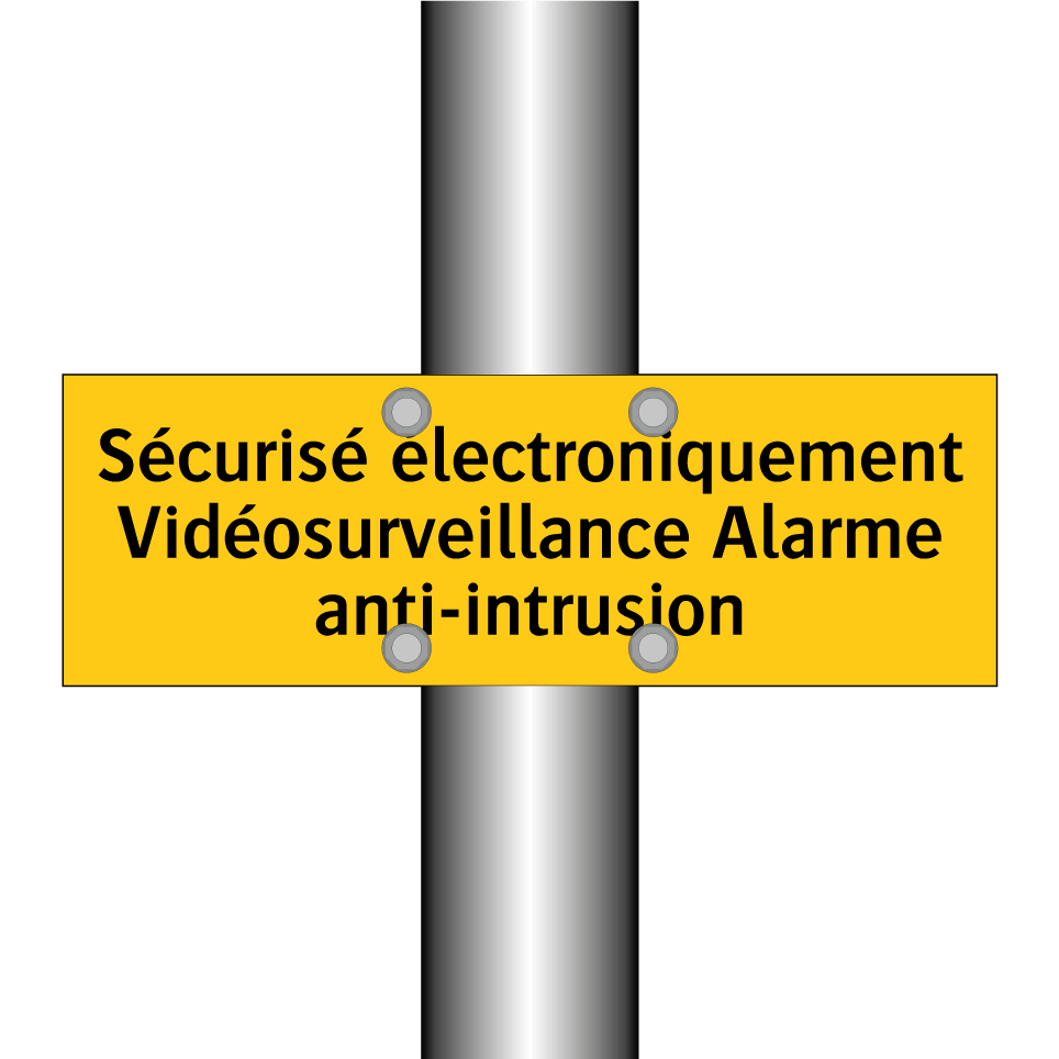 Sécurisé électroniquement Vidéosurveillance Alarme anti-intrusion