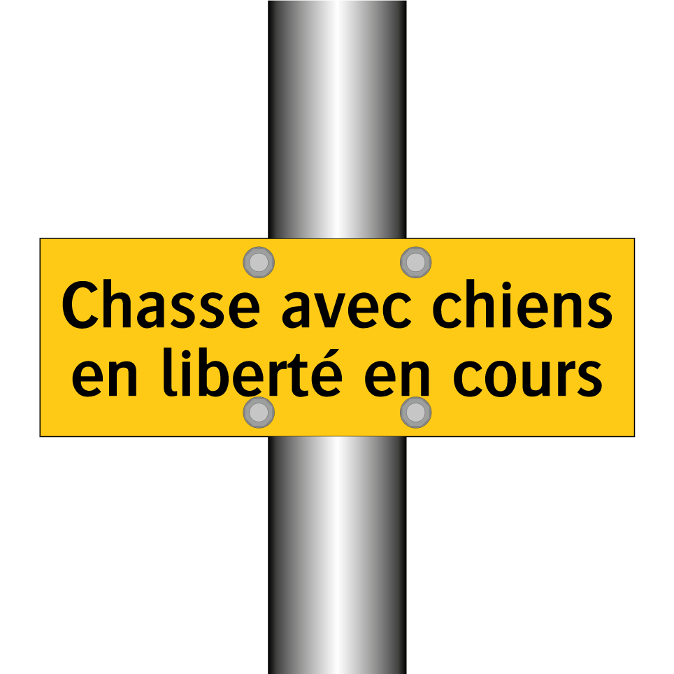 Chasse avec chiens en liberté en cours