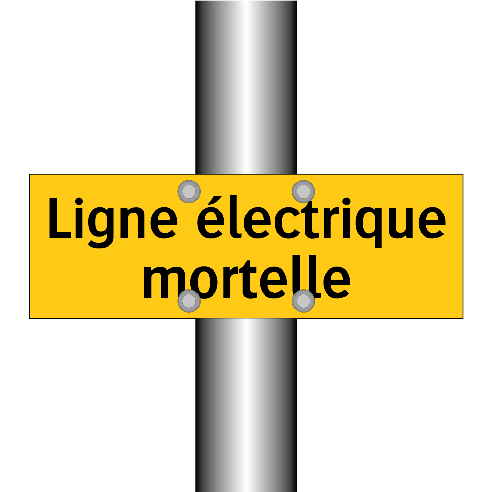 Ligne électrique mortelle