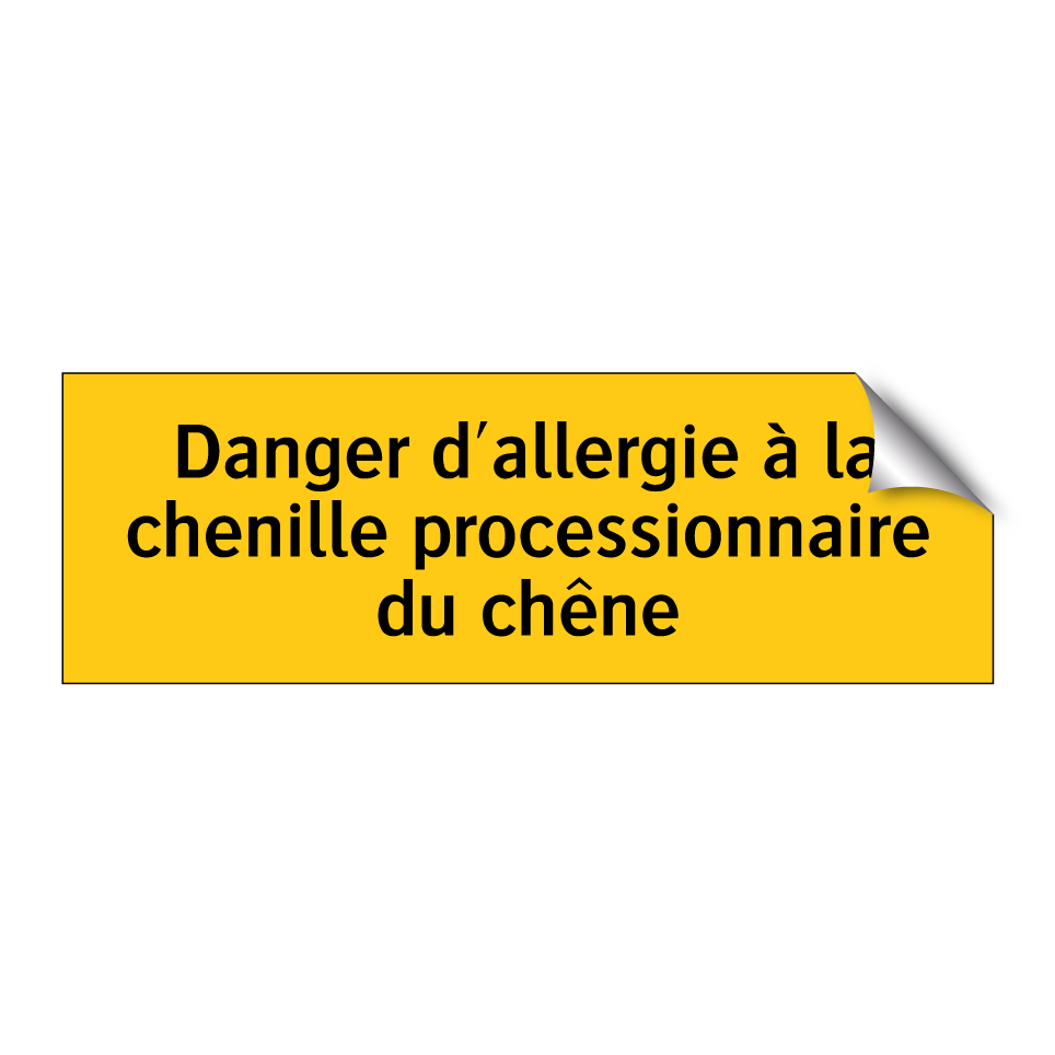 Danger d'allergie à la chenille processionnaire du chêne