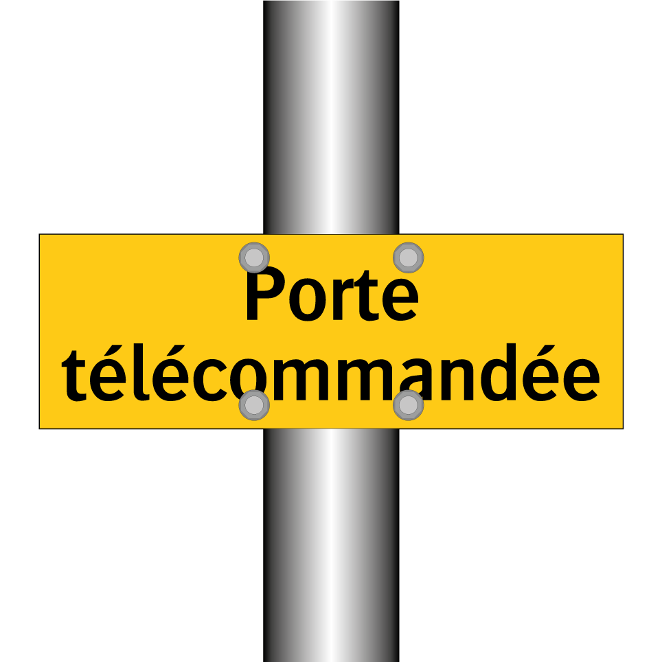 Porte télécommandée