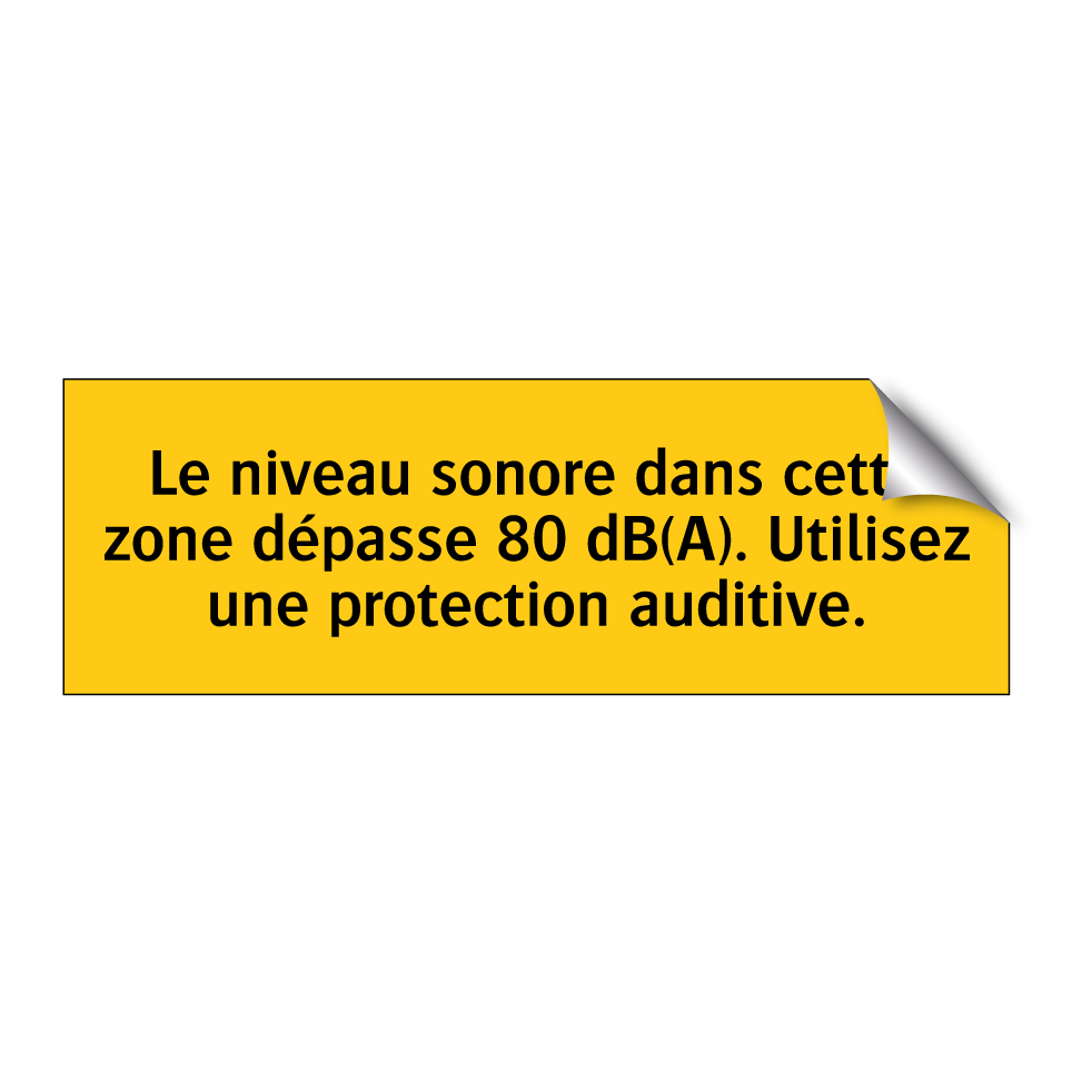 Le niveau sonore dans cette zone dépasse 80 dB(A). Utilisez une protection auditive