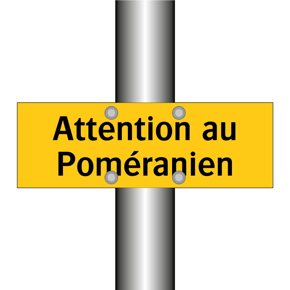 Attention au Poméranien