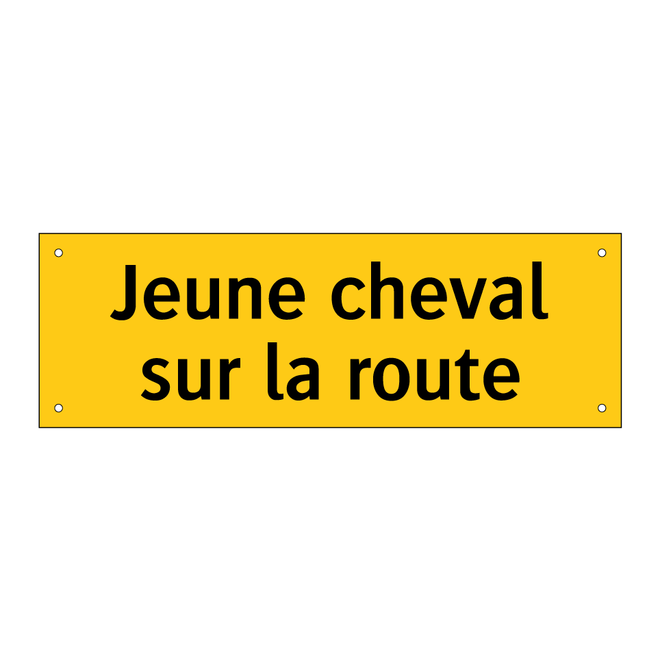 Jeune cheval sur la route