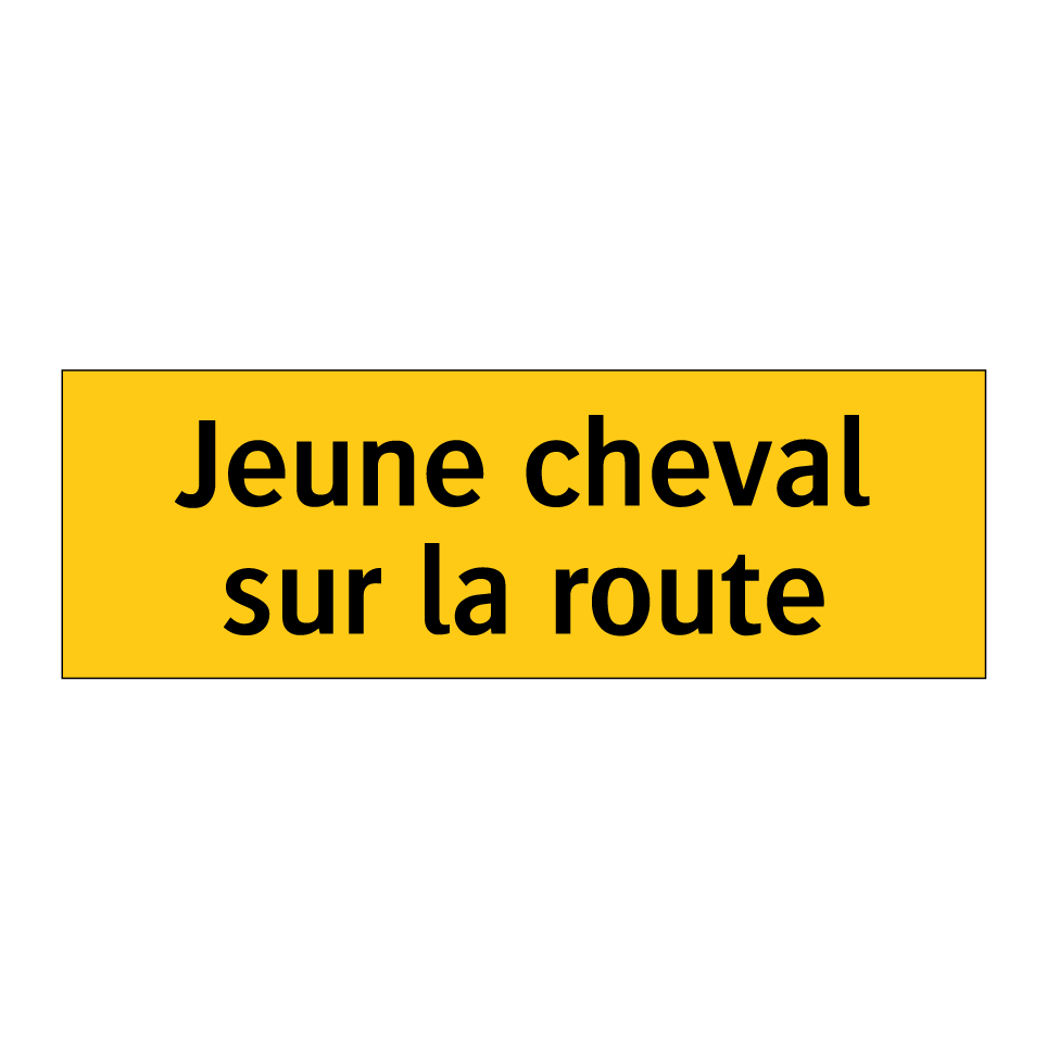 Jeune cheval sur la route