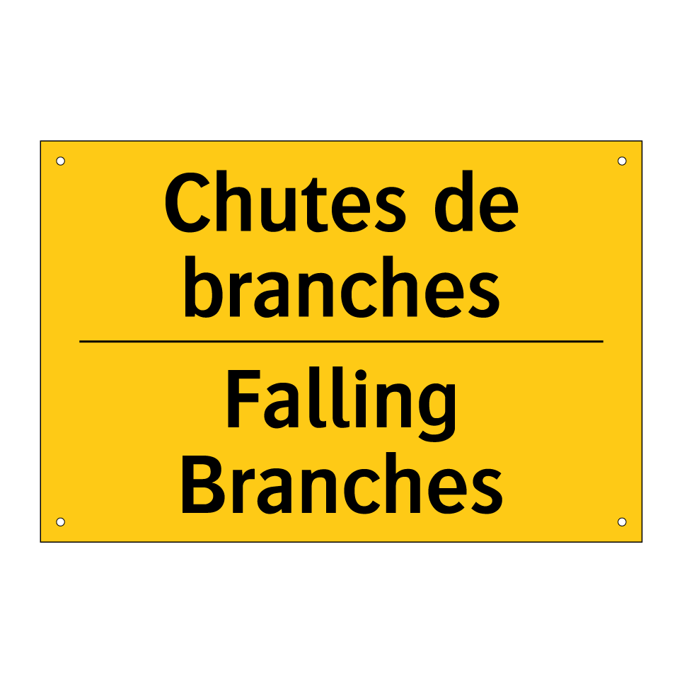 Chutes de branches - Falling Branches