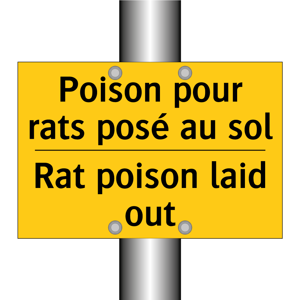 Poison pour rats posé au sol - Rat poison laid out