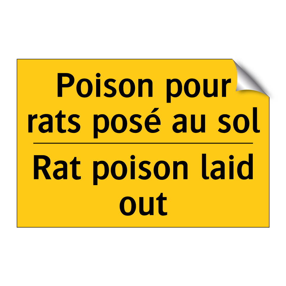 Poison pour rats posé au sol - Rat poison laid out