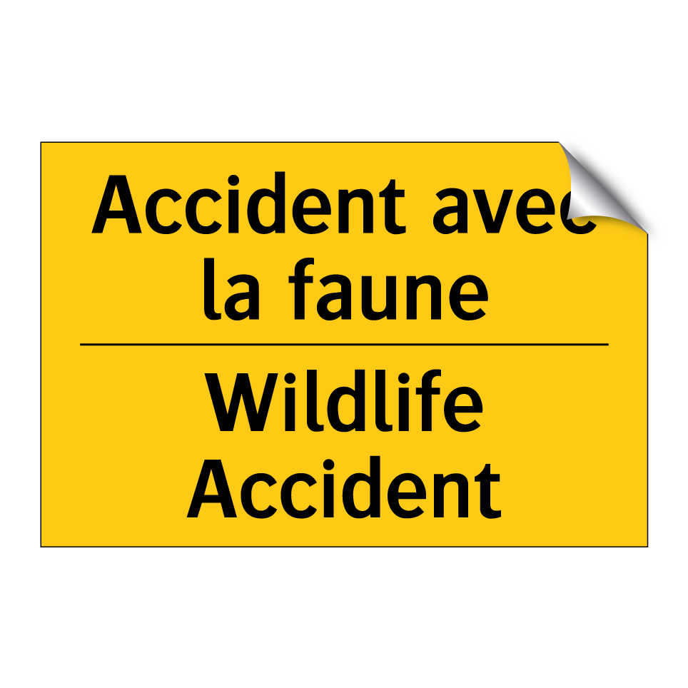Accident avec la faune - Wildlife Accident