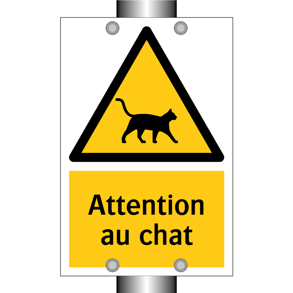 Attention au chat