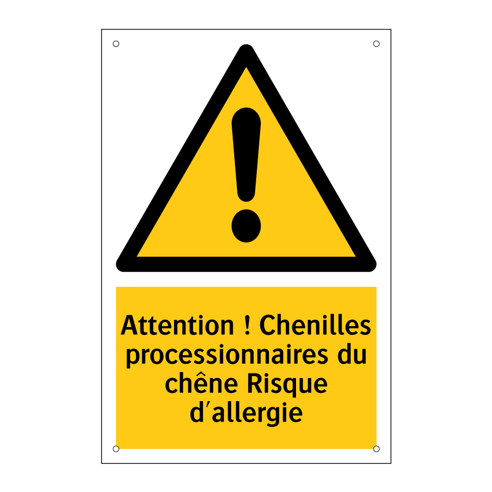 Attention ! Chenilles processionnaires du chêne Risque d'allergie