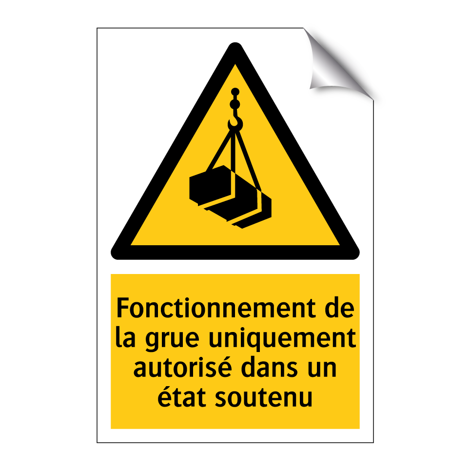 Fonctionnement de la grue uniquement autorisé dans un état soutenu