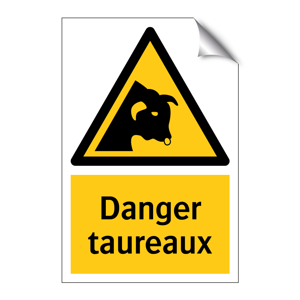Danger taureaux