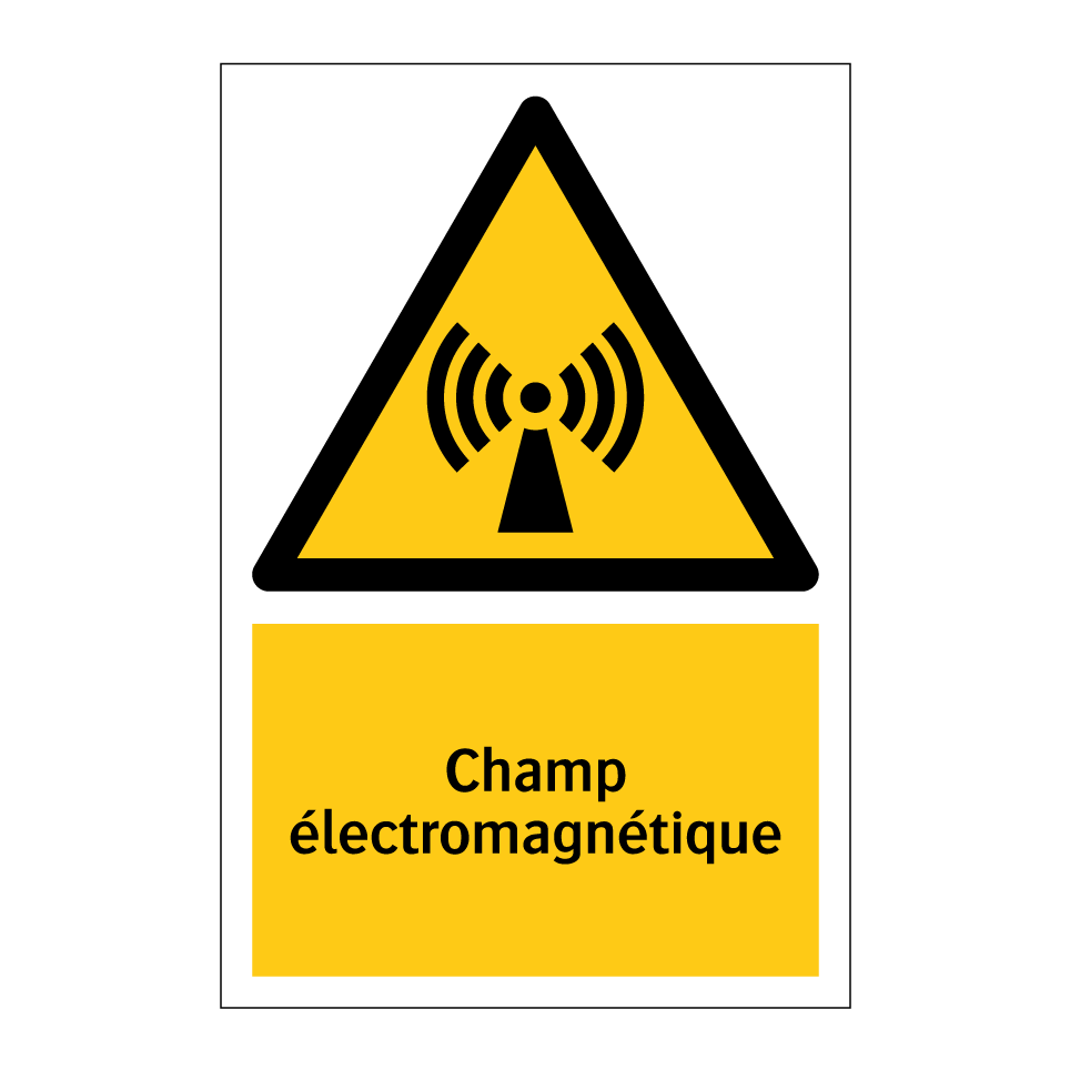 Champ électromagnétique