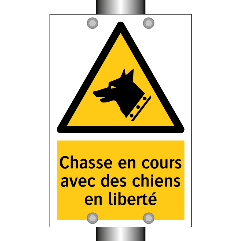 Chasse en cours avec des chiens en liberté