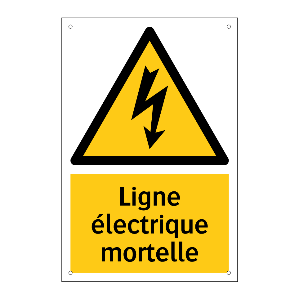 Ligne électrique mortelle