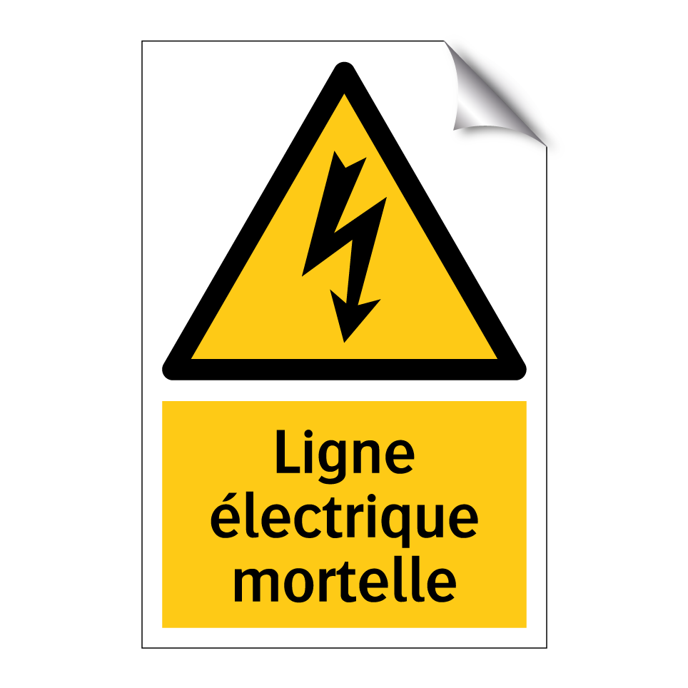 Ligne électrique mortelle