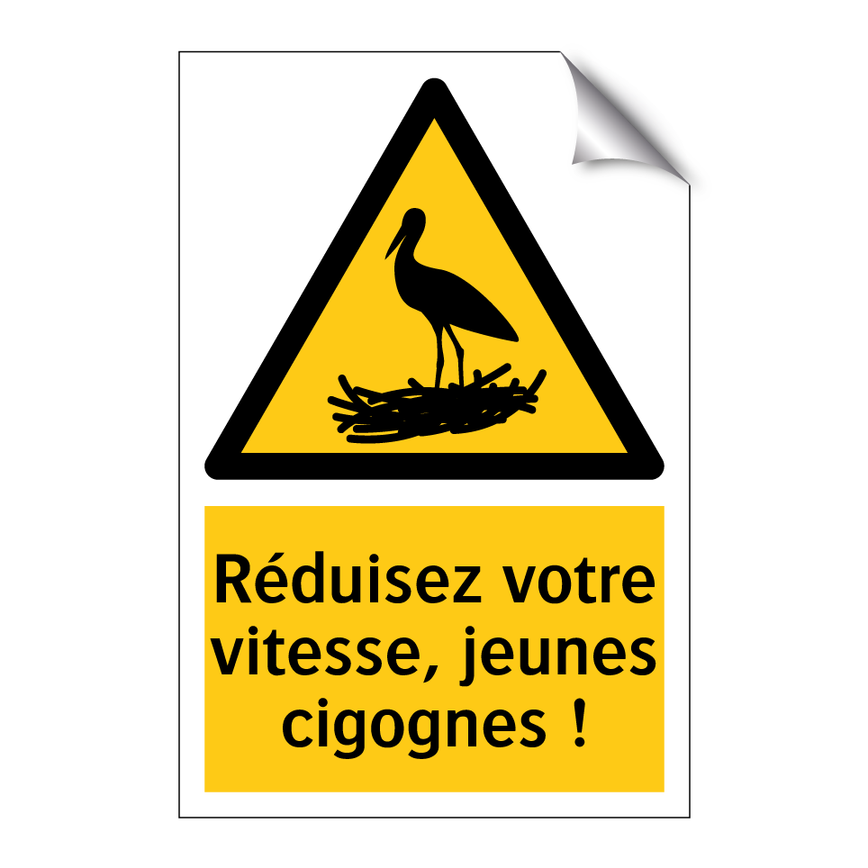 Réduisez votre vitesse, jeunes cigognes !