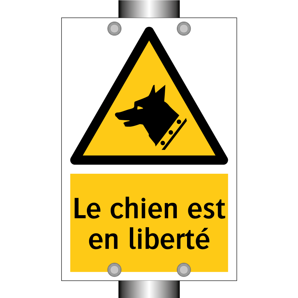 Le chien est en liberté