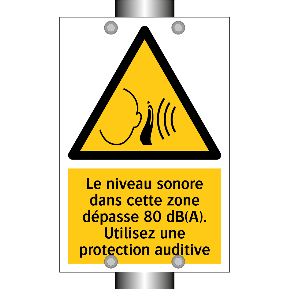 Le niveau sonore dans cette zone dépasse 80 dB(A). Utilisez une protection auditive
