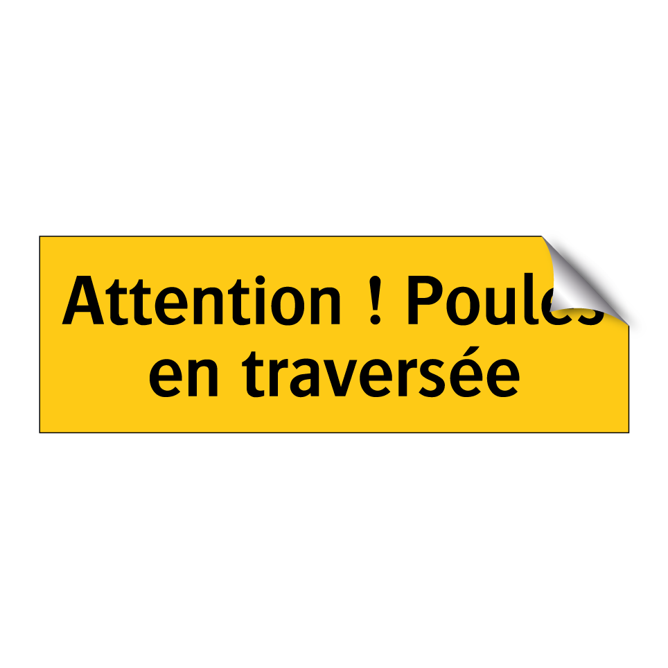 Attention ! Poules en traversée