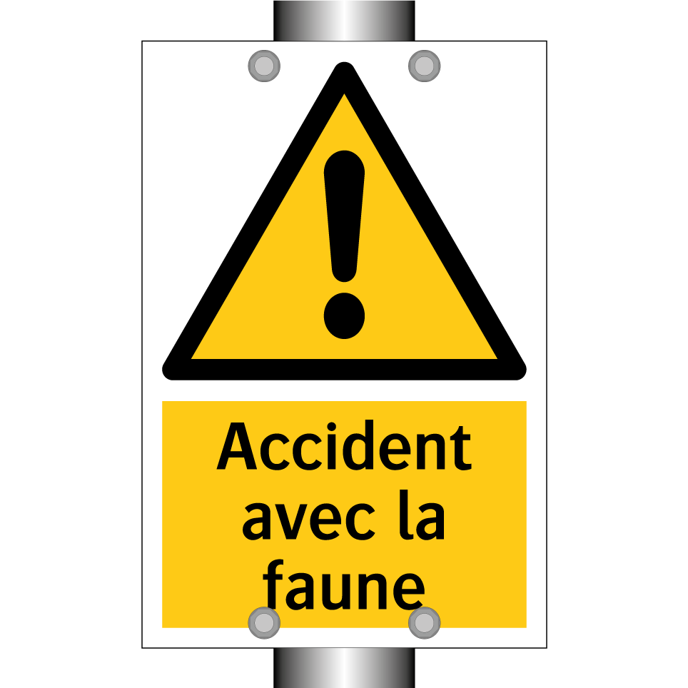 Accident avec la faune