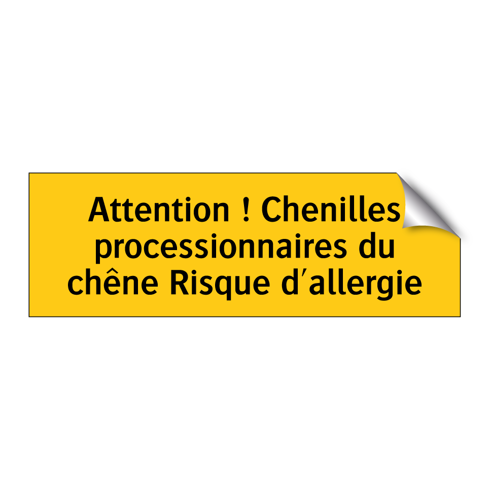 Attention ! Chenilles processionnaires du chêne Risque d'allergie