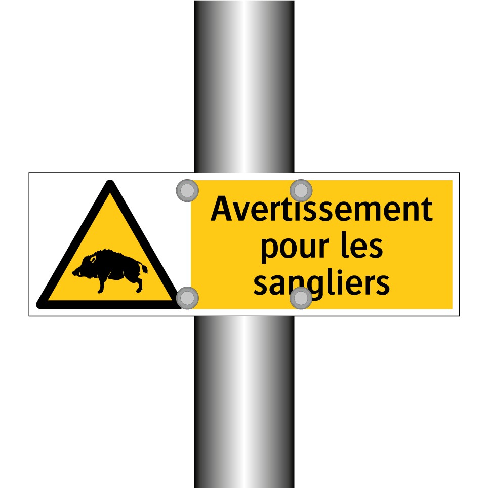 Avertissement pour les sangliers