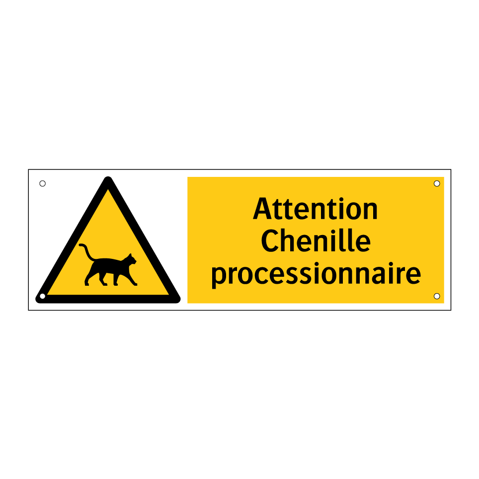 Attention Chenille processionnaire