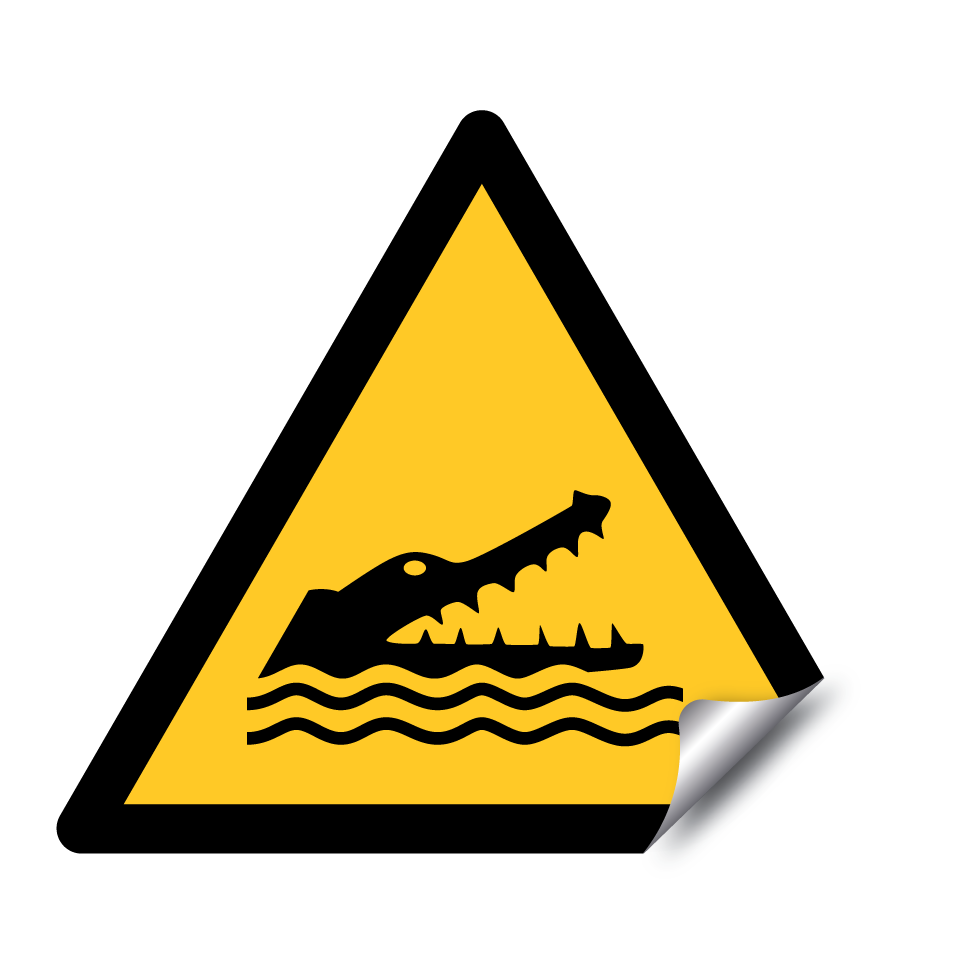 W067 Crocodiles, alligators ou caïmans
