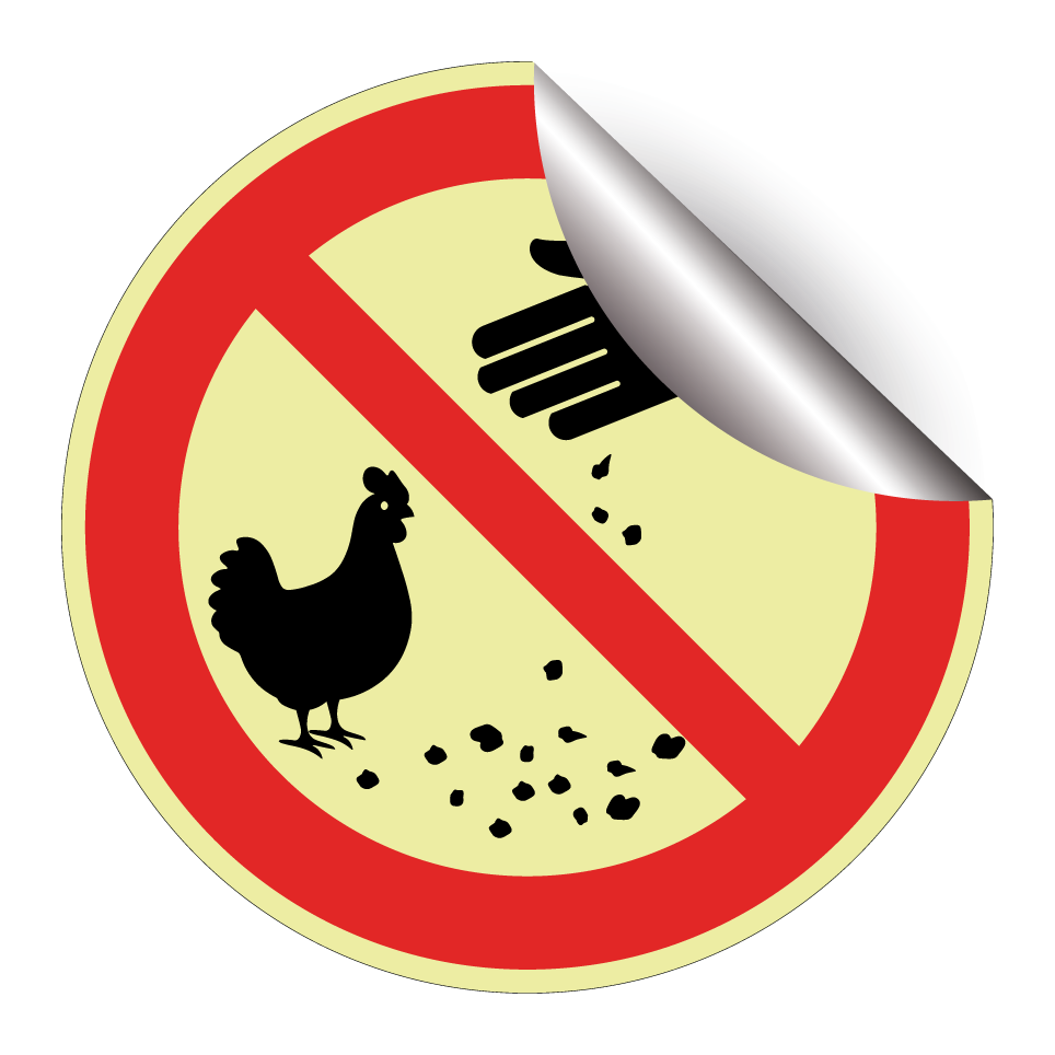 Ne pas nourrir les poules