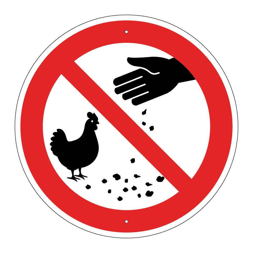 Ne pas nourrir les poules