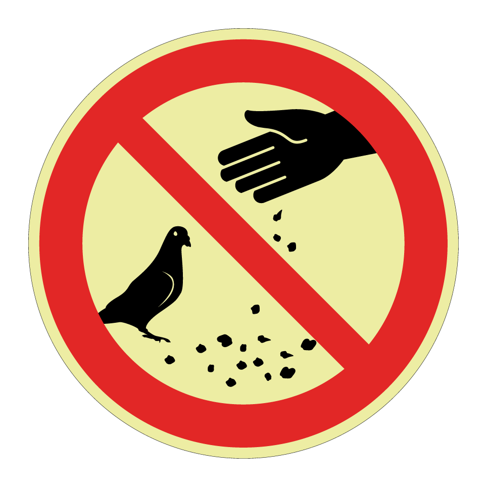 Nourrir les pigeons interdit
