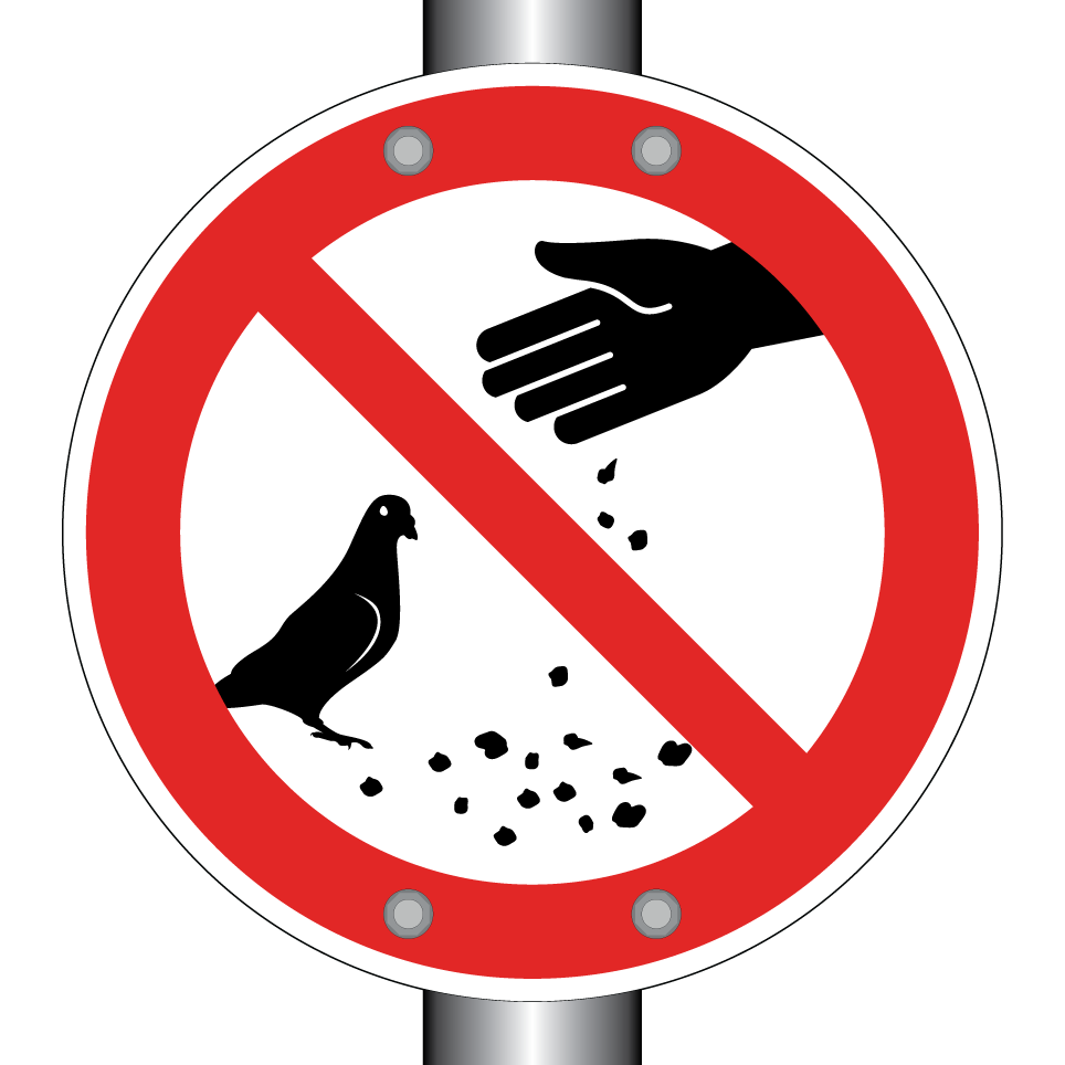Nourrir les pigeons interdit